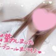 ヒメ日記 2025/09/13 08:50 投稿 かえで 電車ごっこ