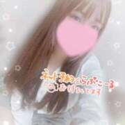 ヒメ日記 2025/09/26 10:00 投稿 かえで 電車ごっこ