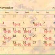 ヒメ日記 2025/11/04 14:17 投稿 かえで 電車ごっこ