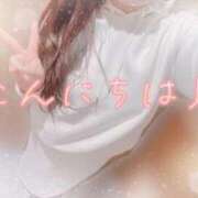 ヒメ日記 2025/11/15 12:50 投稿 かえで 電車ごっこ