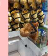 ヒメ日記 2025/12/09 22:14 投稿 かえで 電車ごっこ