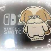 ヒメ日記 2025/12/11 22:10 投稿 かえで 電車ごっこ