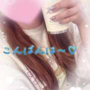 ヒメ日記 2026/02/08 00:50 投稿 かえで 電車ごっこ