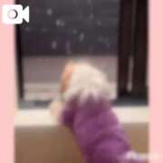 ヒメ日記 2026/02/08 21:21 投稿 かえで 電車ごっこ