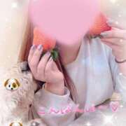 ヒメ日記 2026/02/12 20:10 投稿 かえで 電車ごっこ