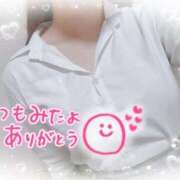 ヒメ日記 2026/02/19 22:31 投稿 かえで 電車ごっこ