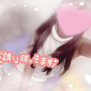 ヒメ日記 2026/02/24 11:20 投稿 かえで 電車ごっこ