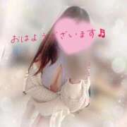 ヒメ日記 2026/02/25 08:30 投稿 かえで 電車ごっこ