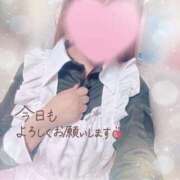 ヒメ日記 2026/03/25 08:50 投稿 かえで 電車ごっこ