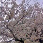 ヒメ日記 2026/04/07 16:10 投稿 かえで 電車ごっこ