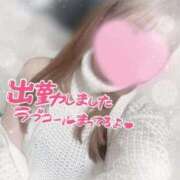 ヒメ日記 2026/04/08 10:10 投稿 かえで 電車ごっこ