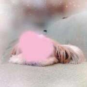 ヒメ日記 2026/04/22 23:55 投稿 かえで 電車ごっこ