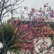 ヒメ日記 2025/02/22 18:20 投稿 かんな 電車ごっこ