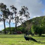 ヒメ日記 2025/02/25 02:20 投稿 かんな 電車ごっこ