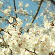 ヒメ日記 2025/04/19 15:14 投稿 かんな 電車ごっこ