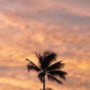 ヒメ日記 2025/09/06 15:02 投稿 かんな 電車ごっこ