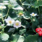 ヒメ日記 2025/09/14 15:23 投稿 かんな 電車ごっこ