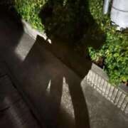 ヒメ日記 2025/11/09 16:40 投稿 かんな 電車ごっこ