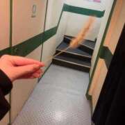 ヒメ日記 2025/12/07 16:30 投稿 かんな 電車ごっこ