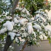 ヒメ日記 2026/02/08 16:50 投稿 かんな 電車ごっこ