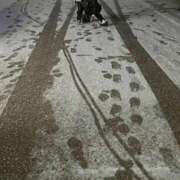 ヒメ日記 2026/02/08 17:20 投稿 かんな 電車ごっこ