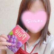 ヒメ日記 2025/06/19 13:20 投稿 さら 電車ごっこ