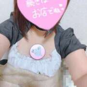 ヒメ日記 2025/10/31 12:35 投稿 さら 電車ごっこ