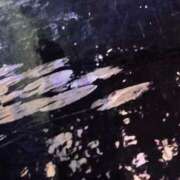 ヒメ日記 2025/11/15 17:30 投稿 まさき 電車ごっこ