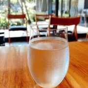 ヒメ日記 2025/11/15 17:50 投稿 まさき 電車ごっこ