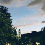 ヒメ日記 2025/11/17 20:31 投稿 まさき 電車ごっこ