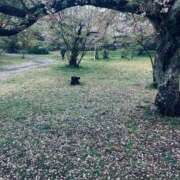 ヒメ日記 2025/12/06 23:49 投稿 まさき 電車ごっこ