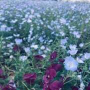 ヒメ日記 2025/12/08 20:07 投稿 まさき 電車ごっこ