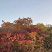 ヒメ日記 2025/12/15 17:33 投稿 まさき 電車ごっこ