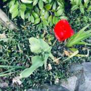 ヒメ日記 2025/12/18 17:50 投稿 まさき 電車ごっこ