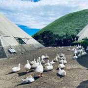 ヒメ日記 2026/01/05 16:24 投稿 まさき 電車ごっこ