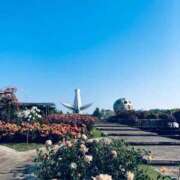 ヒメ日記 2026/02/19 18:40 投稿 まさき 電車ごっこ