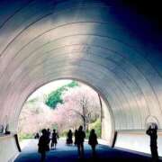 ヒメ日記 2026/03/05 17:10 投稿 まさき 電車ごっこ