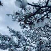 ヒメ日記 2026/03/09 19:54 投稿 まさき 電車ごっこ