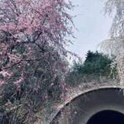 ヒメ日記 2026/03/15 15:32 投稿 まさき 電車ごっこ