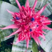 ヒメ日記 2026/03/21 17:18 投稿 まさき 電車ごっこ