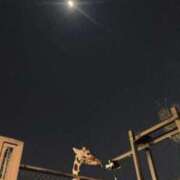 ヒメ日記 2026/03/29 16:33 投稿 まさき 電車ごっこ