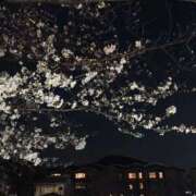 ヒメ日記 2026/04/05 15:10 投稿 まさき 電車ごっこ