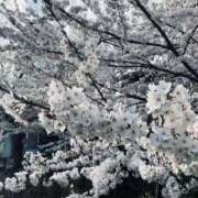 ヒメ日記 2026/04/06 19:20 投稿 まさき 電車ごっこ