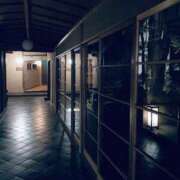 ヒメ日記 2026/04/18 18:33 投稿 まさき 電車ごっこ