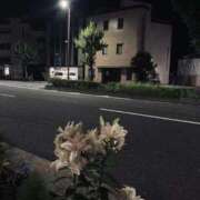 ヒメ日記 2026/07/20 18:47 投稿 まさき 電車ごっこ