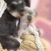 ヒメ日記 2025/07/04 08:50 投稿 ゆい 電車ごっこ