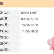 ヒメ日記 2026/01/24 13:35 投稿 ゆい 電車ごっこ