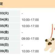 ヒメ日記 2026/02/03 12:50 投稿 ゆい 電車ごっこ