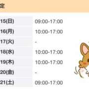 ヒメ日記 2026/02/15 13:30 投稿 ゆい 電車ごっこ