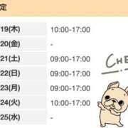 ヒメ日記 2026/02/19 12:50 投稿 ゆい 電車ごっこ